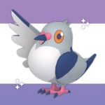 Can Pidove be shiny in Pokémon Go?