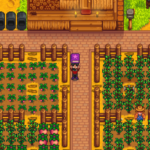 Where to find the bookseller in Stardew Valley