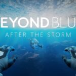 Beyond Blue: After The Storm Swims Onto Quest Next Month