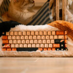 This cat-themed wireless gaming keyboard is a fluffy feline treat, costing $239