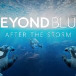 Beyond Blue: After The Storm Explores Marine Conservation On Quest