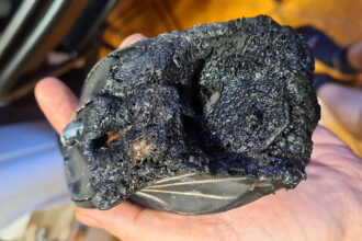 My Gigabyte gaming mouse caught fire, claims gamer