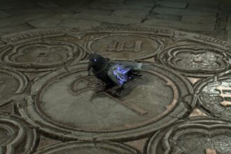 Diablo 4 patch change could make it easier to find Forgotten Altars, or you could pet Dorian the Raven instead