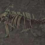 Where to find dragonbone relics in Monster Hunter Wilds