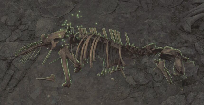 Where to find dragonbone relics in Monster Hunter Wilds