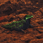 Where to find ember rufflizards in Monster Hunter Wilds