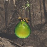 Where to find giant vigorwasps in Monster Hunter Wilds