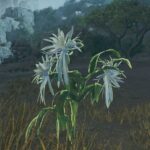 How to get nightflower pollen in Monster Hunter Wilds