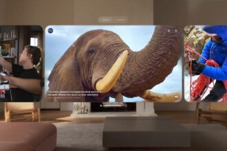 visionOS 2.4 Beta 2 Brings Apple's New Spatial Gallery Platform To Vision Pro