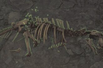 Where to find dragonbone relics in Monster Hunter Wilds